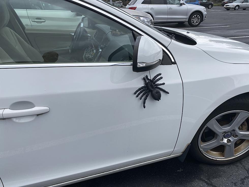 What NJ people decorate their car with