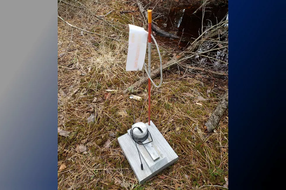 'UFO Detector Device' prompts bomb scare in NJ state forest