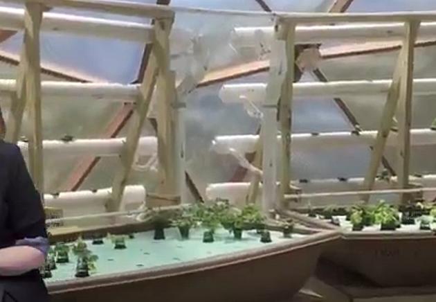 Penns Grove-Carney&#8217;s Point Aquaponics Project Tackles Food Insecurity in NJ