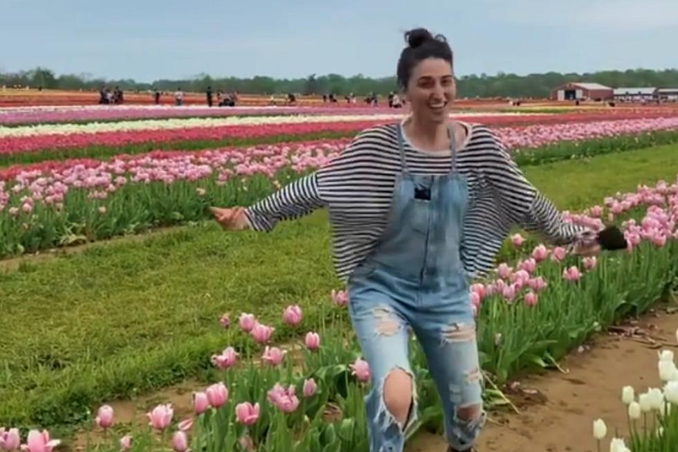 Sara Bareilles visits famed Holland Ridge tulip farm 