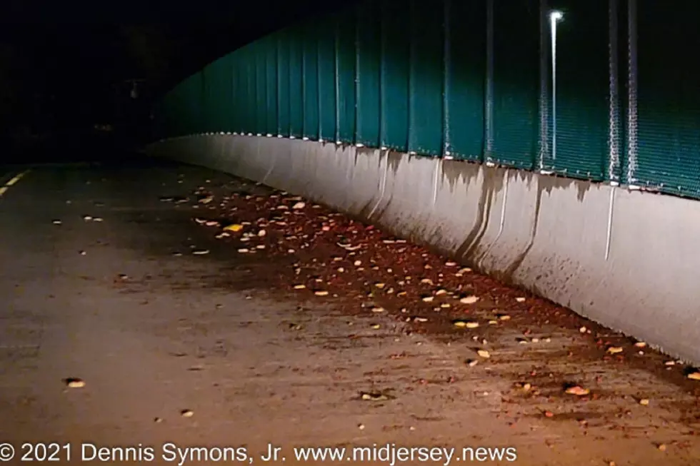Watermelons from Turnpike crash thrown onto an overpass
