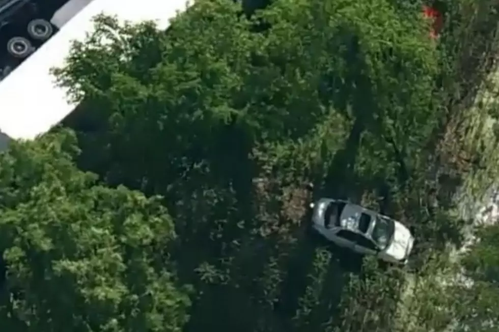 Car falls 20 feet down Route 78 embankment in Newark, NJ