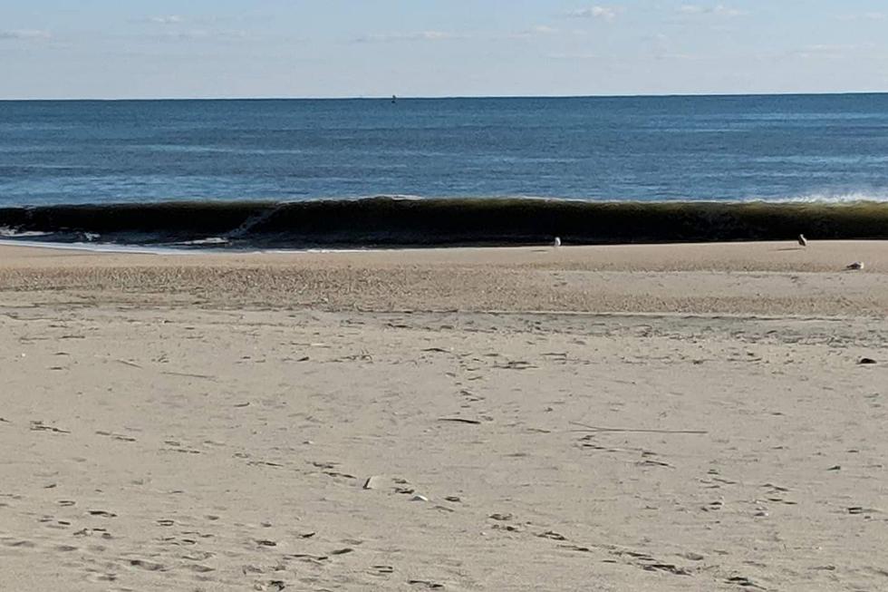 NJ finds high bacteria levels at Seaside, Point Pleasant beaches