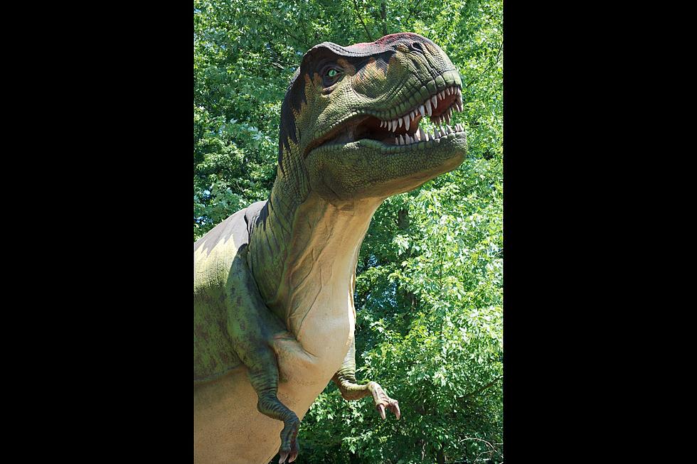 Six Flags to add dinosaurs to park