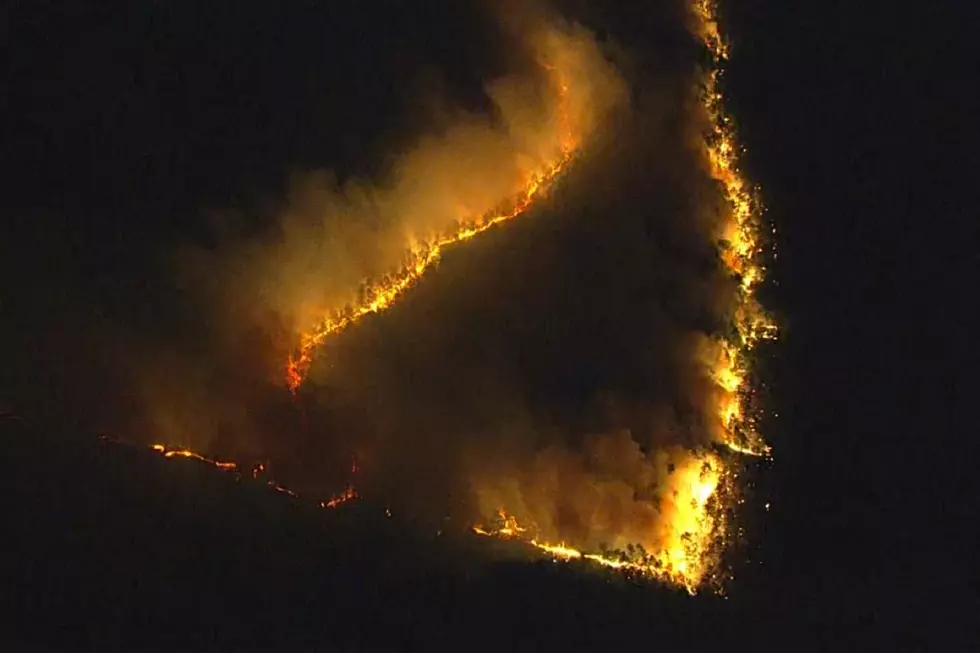 2nd wildfire in NJ this week: Burlington, Atlantic forests burning