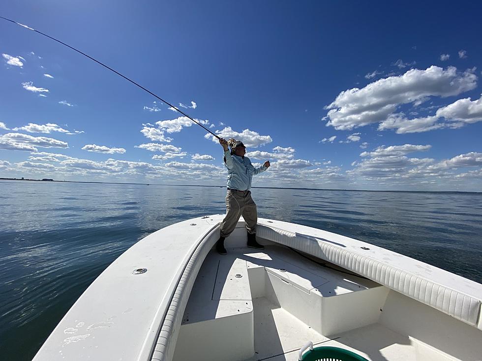 NJ Sportfishing Industry Faces a Severe Threat Because of Whales