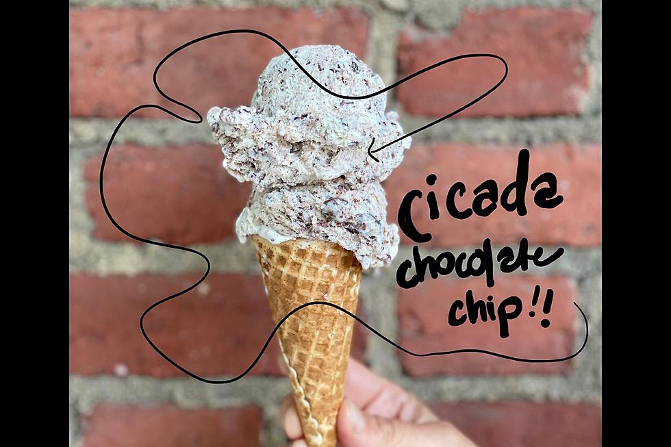 Cicada ice cream proves to be a hit at this NJ shop