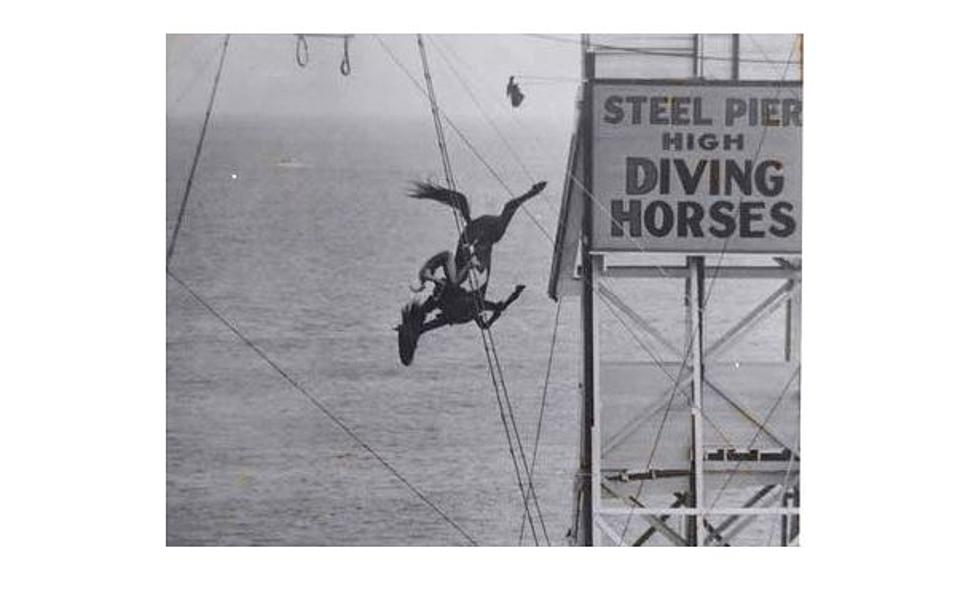 Free-Fall Diving Horse Ride Comes to Atlantic City NJ&#8217;s Steel Pier
