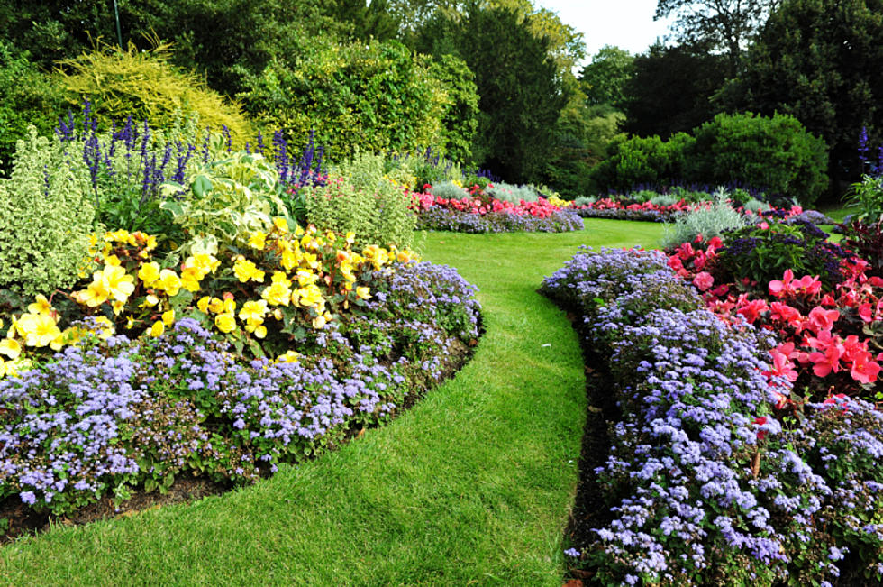 Heatwaves can ruin a garden but there are ways to protect it