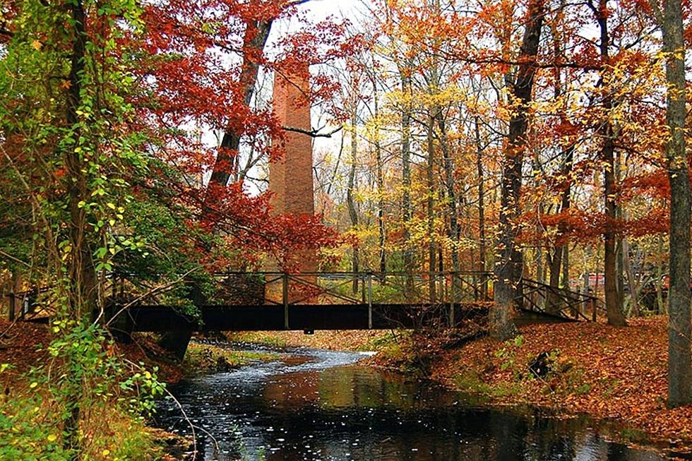 Man drowns while swimming in Atlantic County, NJ river