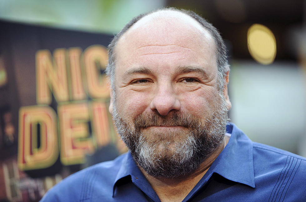 "That's what they said" James Gandolfini on the Office?