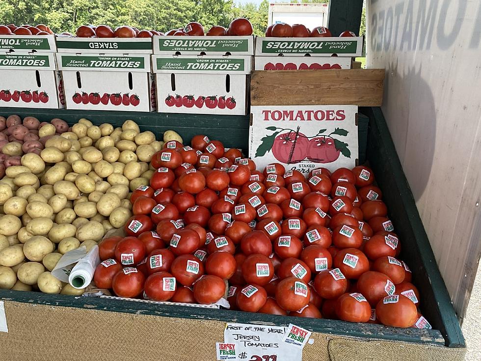 Jersey Tomatoes are Finally Here