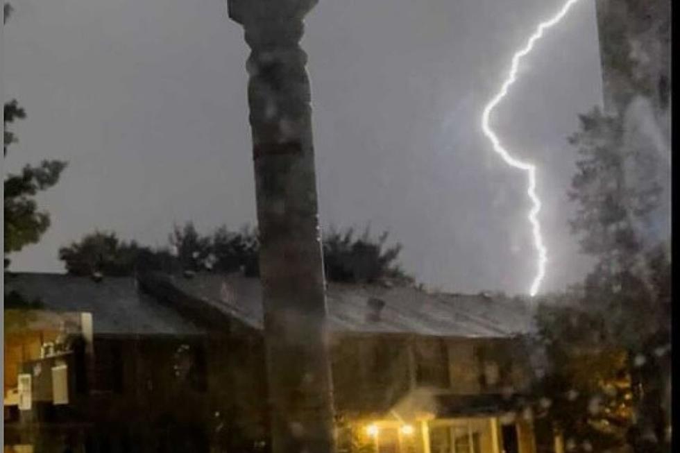 Fallen trees, lightning from thunderstorms plunge NJ into the dark