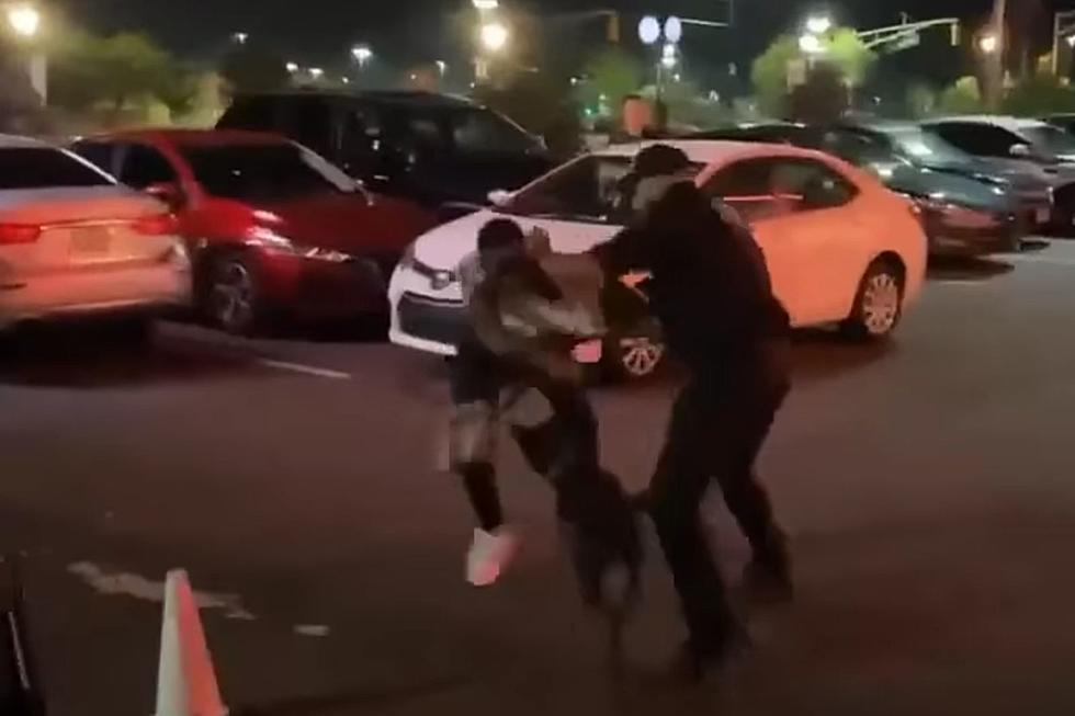 Deptford, NJ guard charged with aggravated assault in dog attack