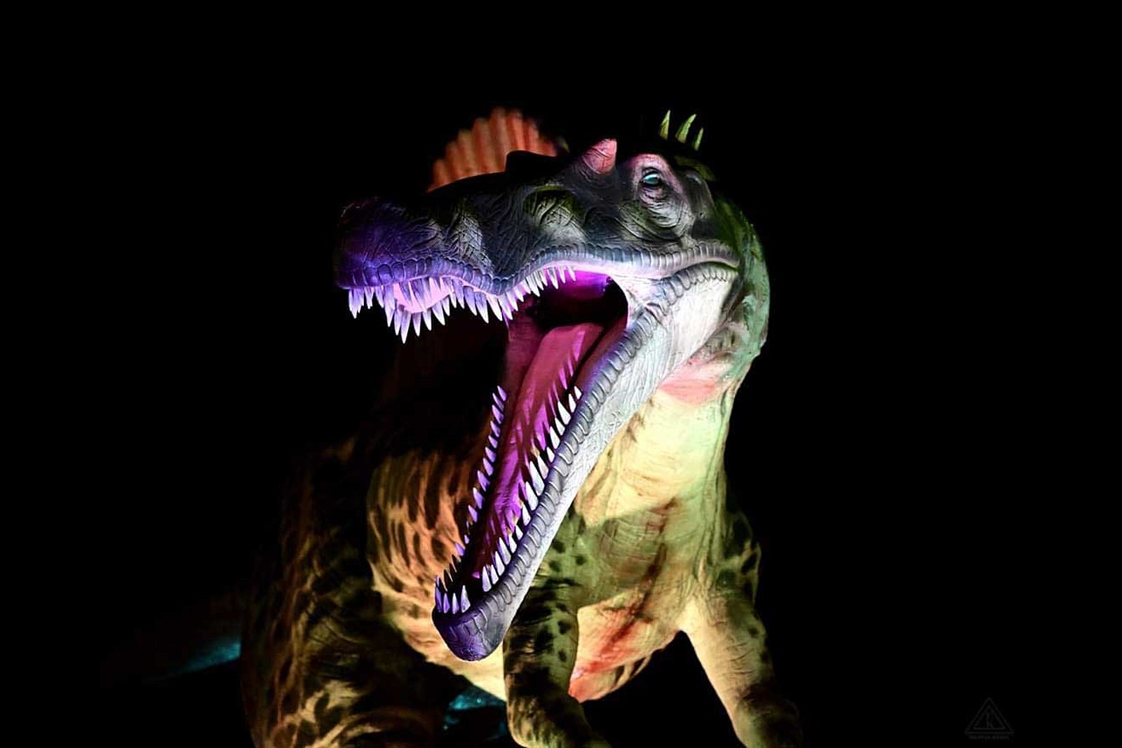 Dino Safari extended at two New Jersey malls