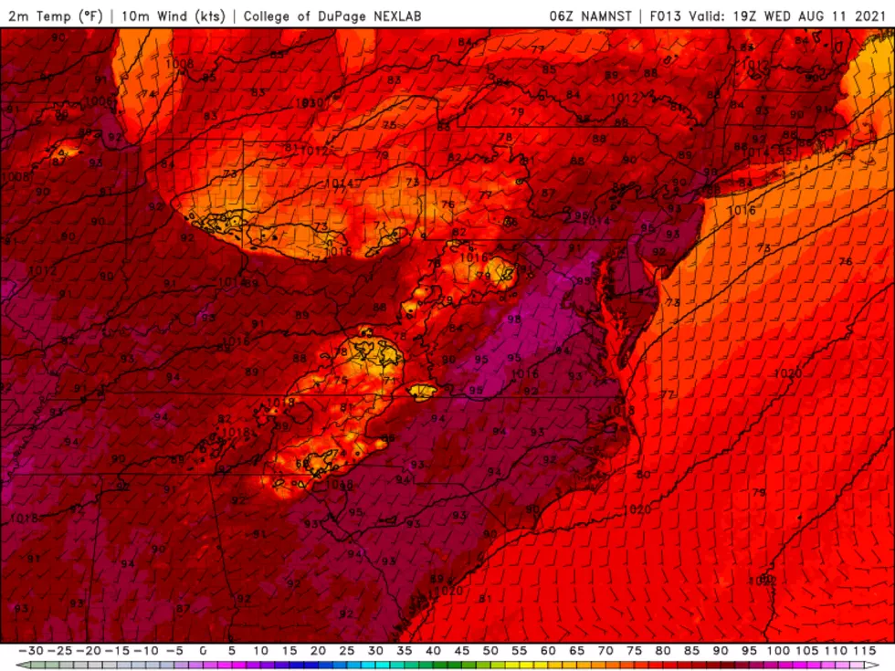 The high-res NAM model shows widespread 90s stretching up and down the East Coast Wednesday afternoon. (College of DuPage Meteorology)