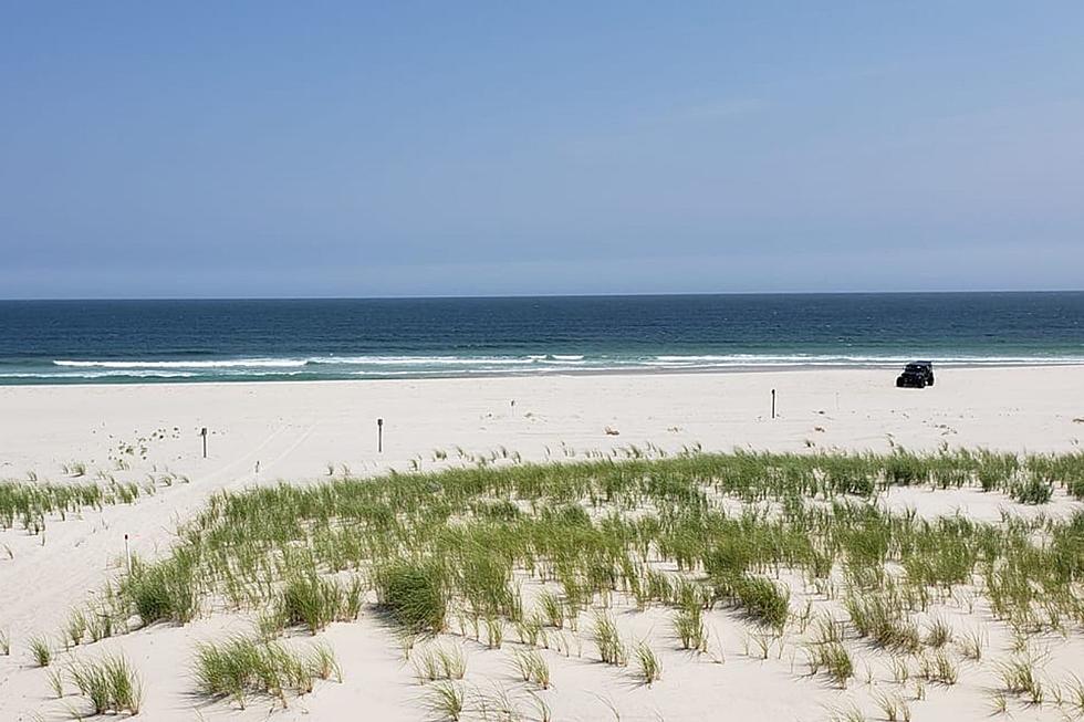 NJDEP Opens Applications for Summer Jobs at State Parks, Beaches