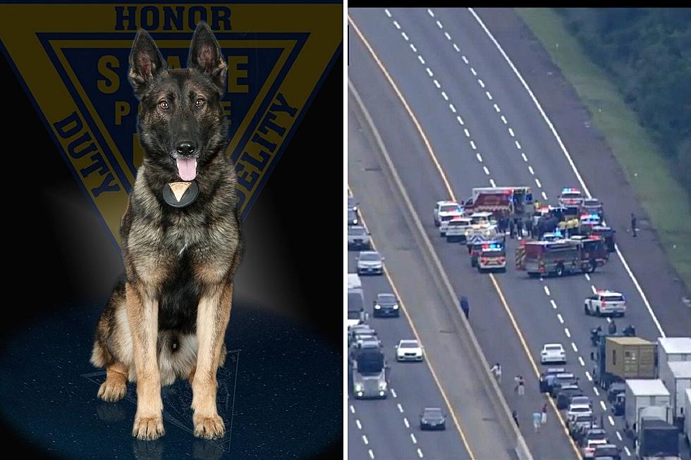 State Police K-9, trooper injured in NJ Turnpike confrontation