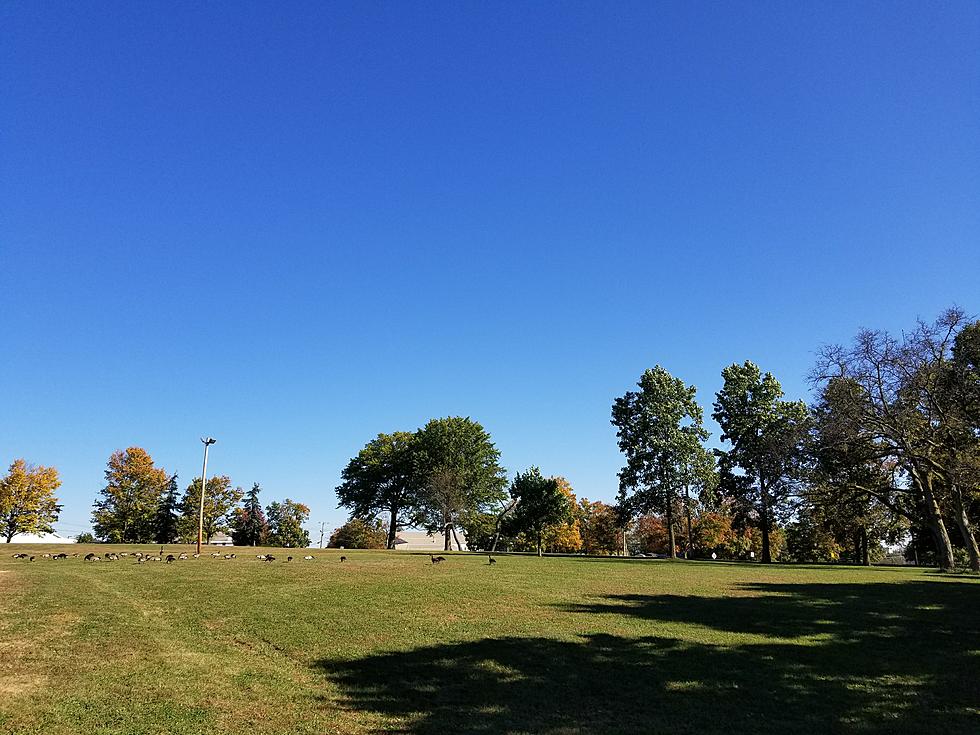 NJ weather: Final days of summer look delightful, rain midweek