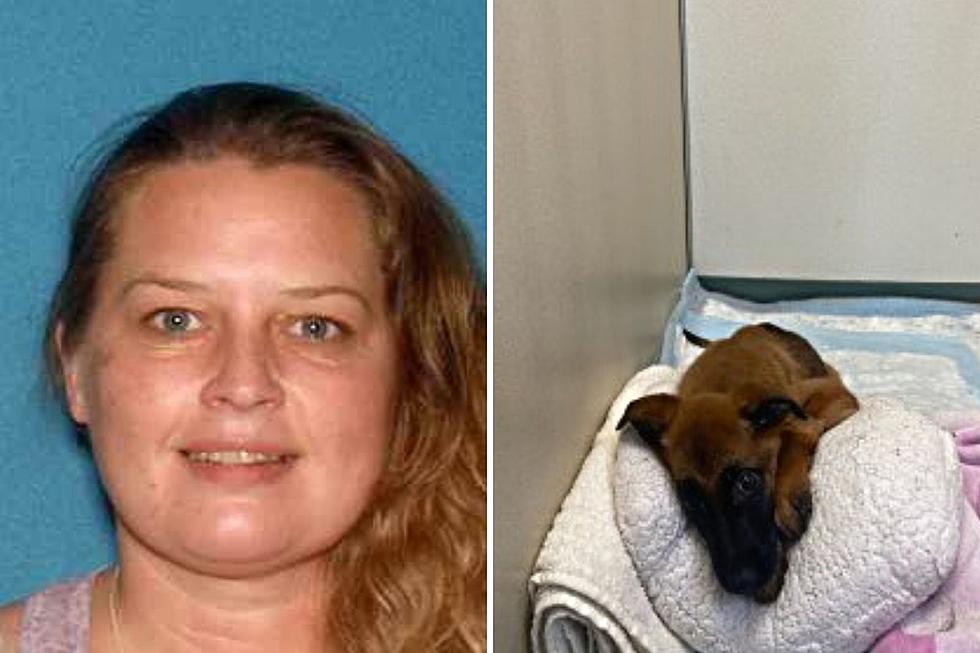 Woman left dogs tied to trees in woods and abandoned puppy, cops say