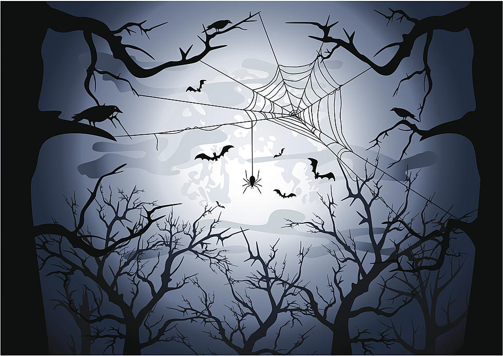 Westfield, NJ, makes list of spookiest towns