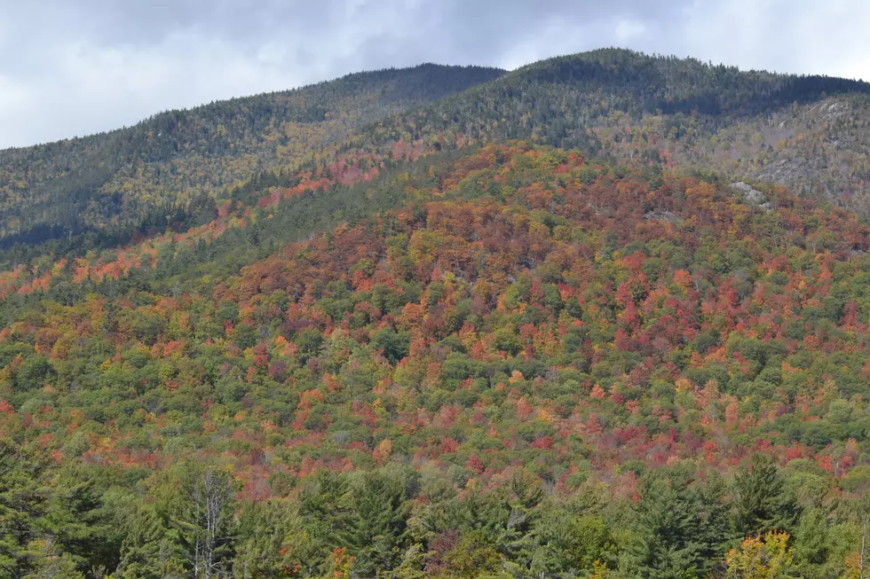 NJ fall foliage Photo Credit: Jason Grabowski