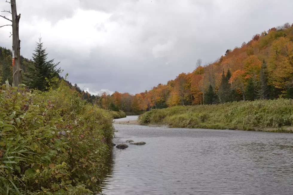 NJ fall foliage Photo Credit: Jason Grabowski