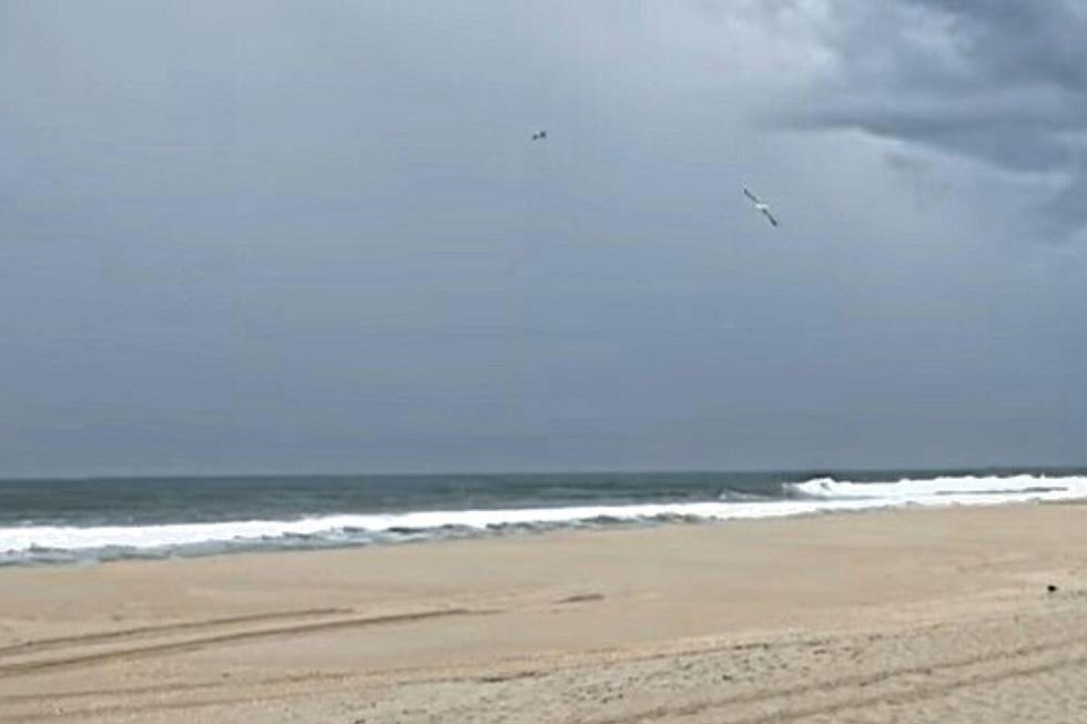 NJ Beach Weather and Waves: Jersey Shore Report for Fri 9/10