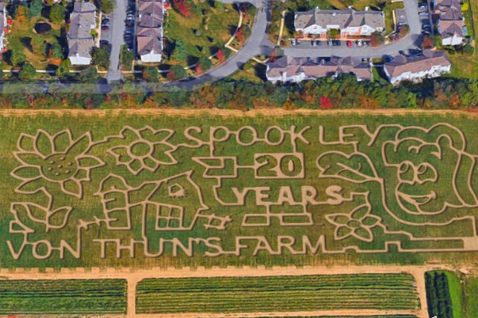 Best NJ corn mazes, pumpkin patches, hayrides for 2021