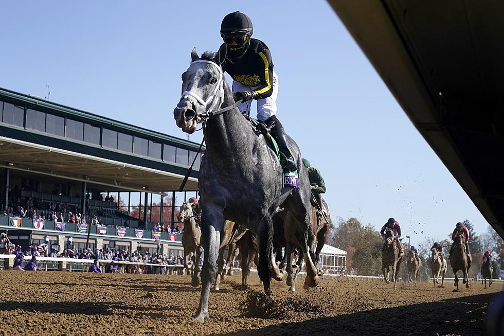 Breeders&#8217; Cup a month away: What Grade 1 horse races are upcoming in October?