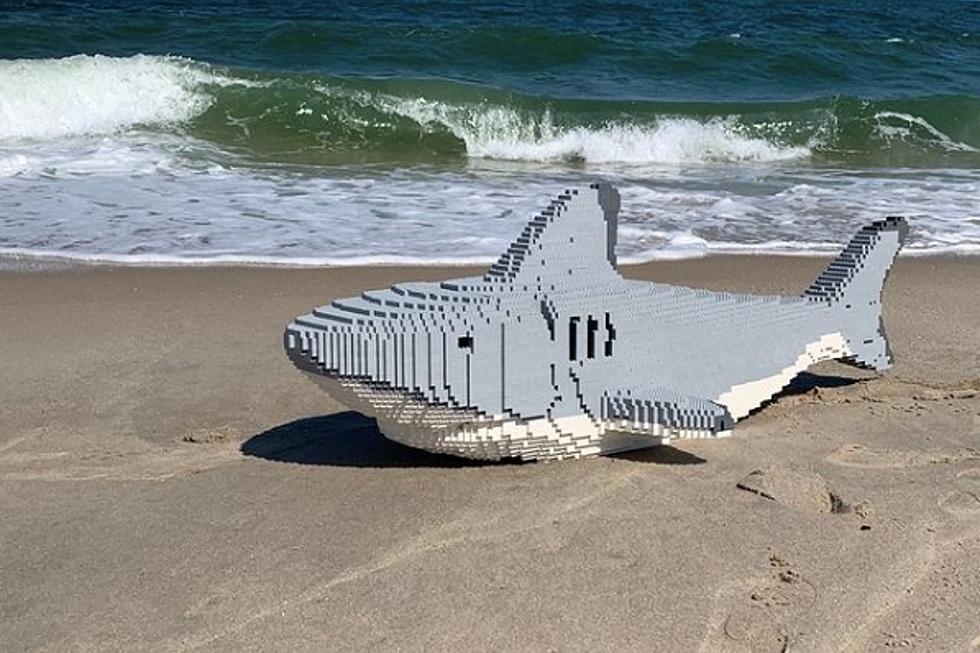 Help Adventure Aquarium in Camden, NJ name their new (LEGO) shark