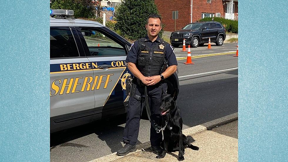 Bergen County Sheriff’s officer, K-9 partner help with police chase
