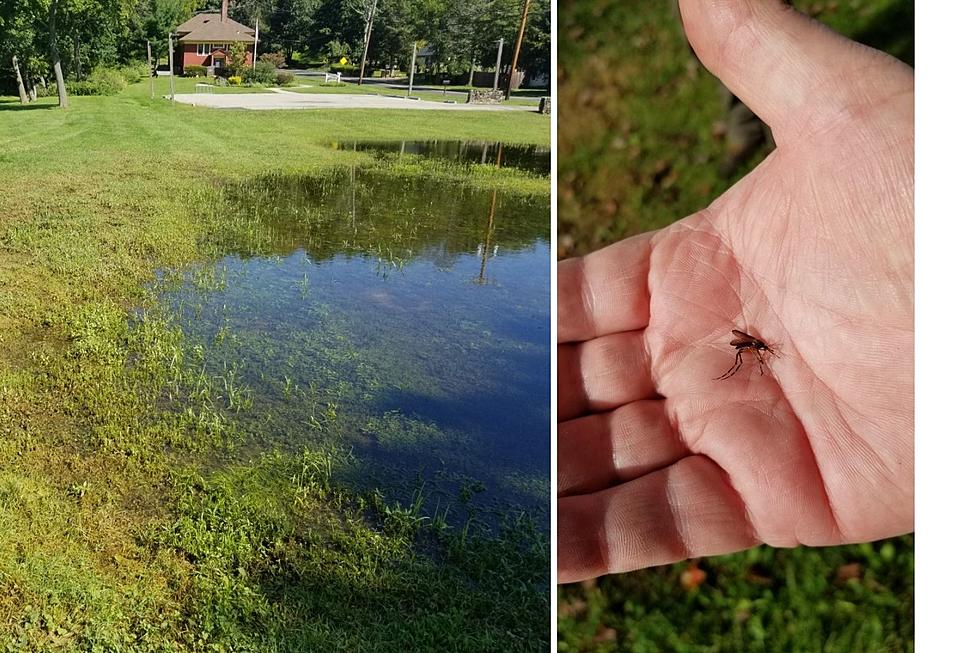 Still getting bites? New Jersey&#8217;s mosquito season is lasting longer