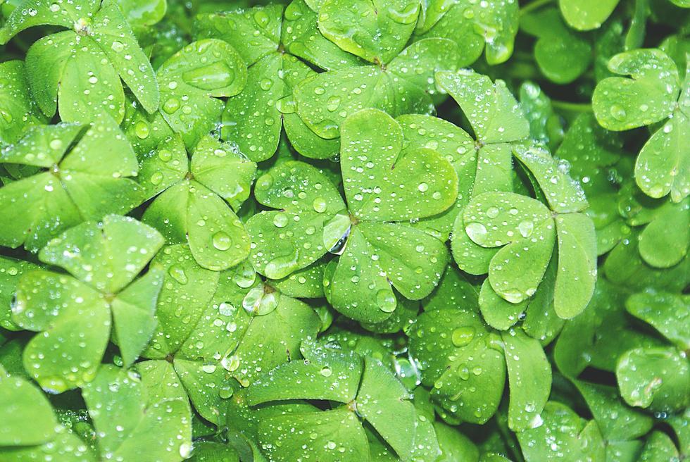 Celebrate your Irish heritage this weekend in South Jersey