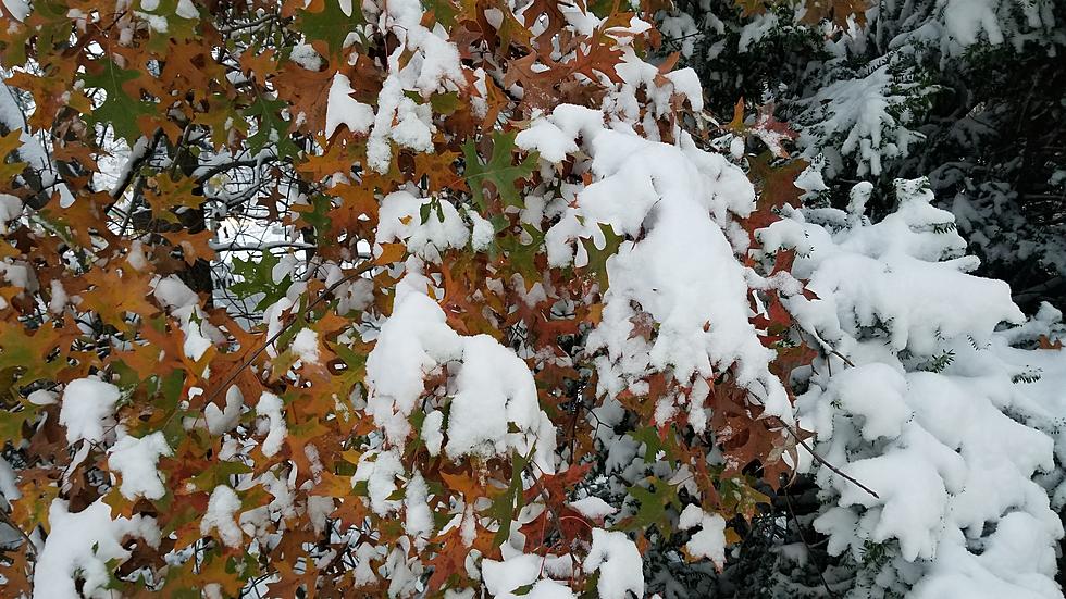 Here is the date to expect NJ’s first snowfall of the season