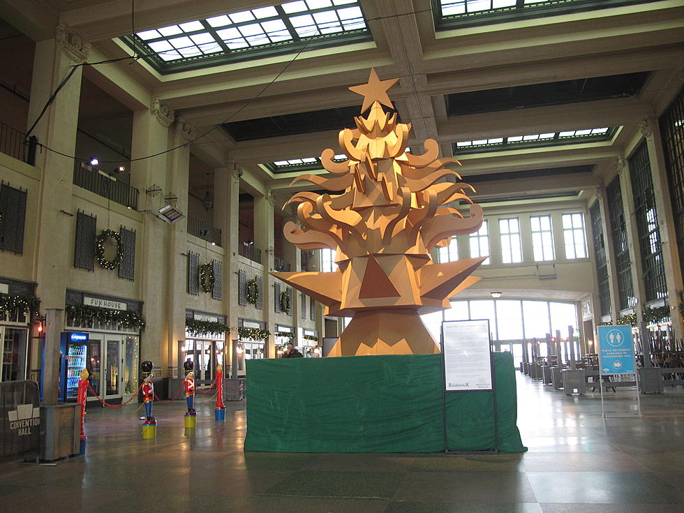 Oh! Christmas tree? Cardboard display is the talk of a town