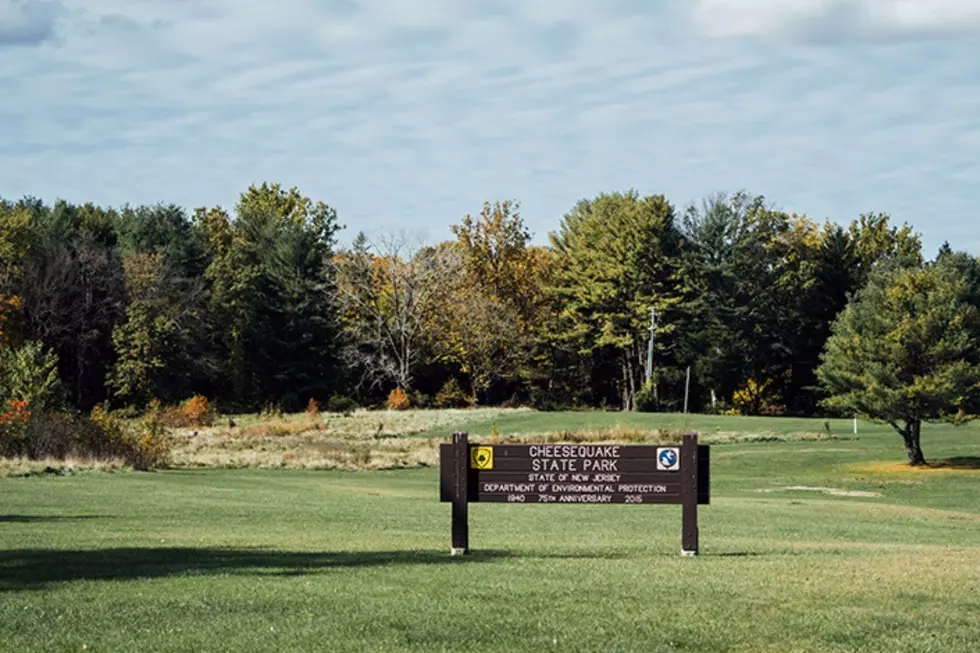 Want to work at a NJ state park? Hundreds of seasonal jobs available