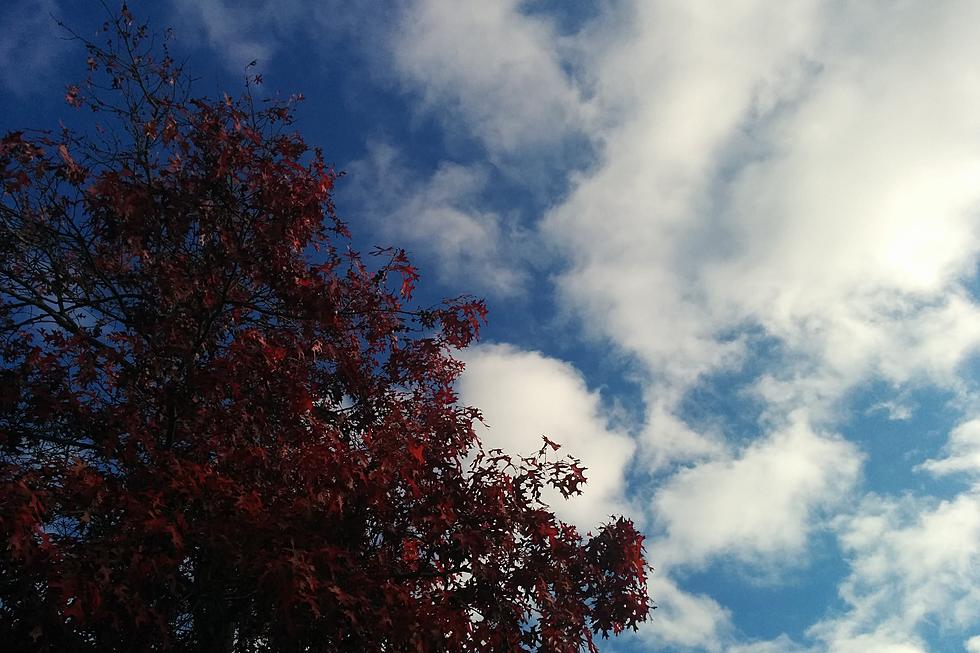 NJ Thanksgiving holiday weekend weather: Mild, rain, cold, possible snow