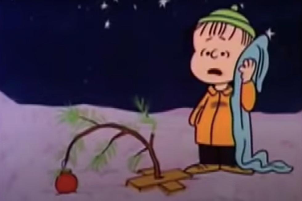 Move over Peanuts, WE now have the saddest Christmas display
