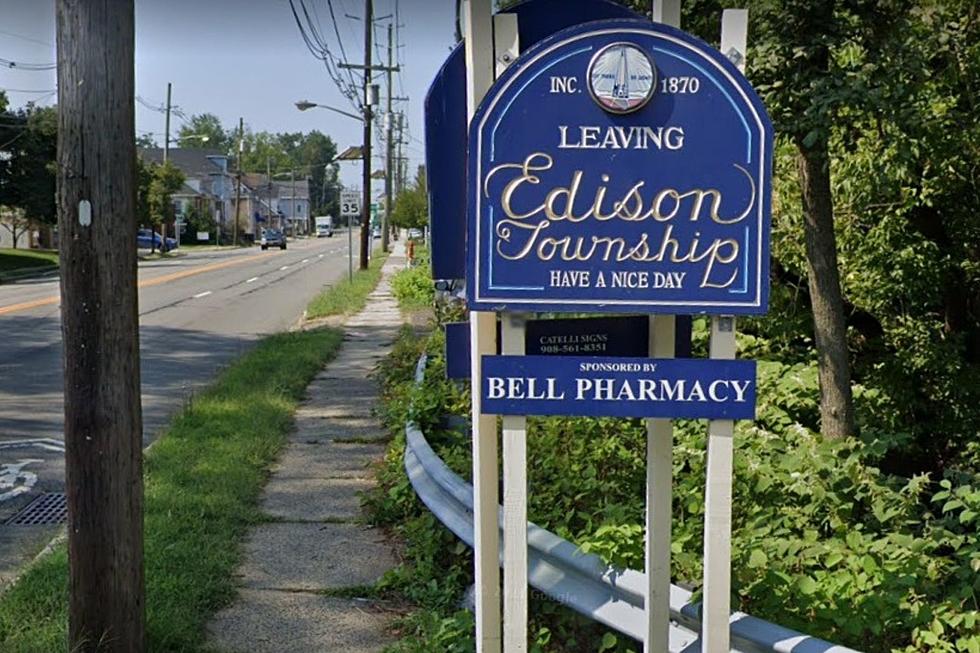 Dogs on the loose in Edison, NJ bite children in separate incidents
