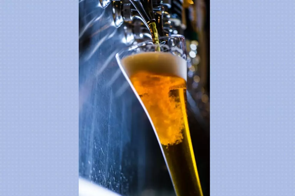 Yard House draft Photo Credit: Yard House