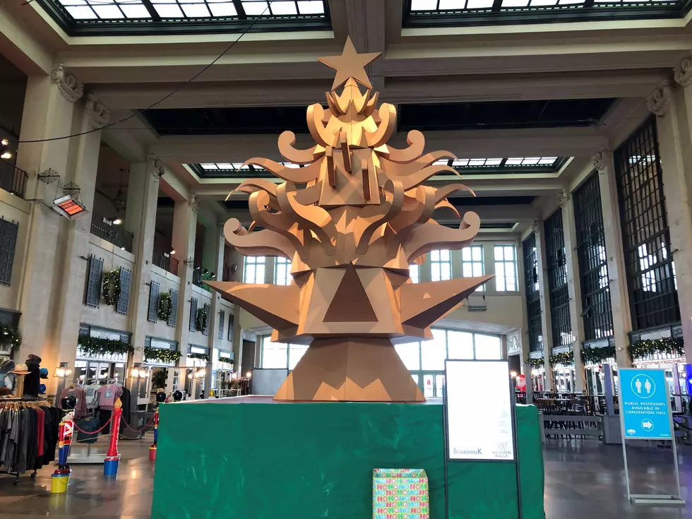 Asbury Park's Cardboard Giving Tree