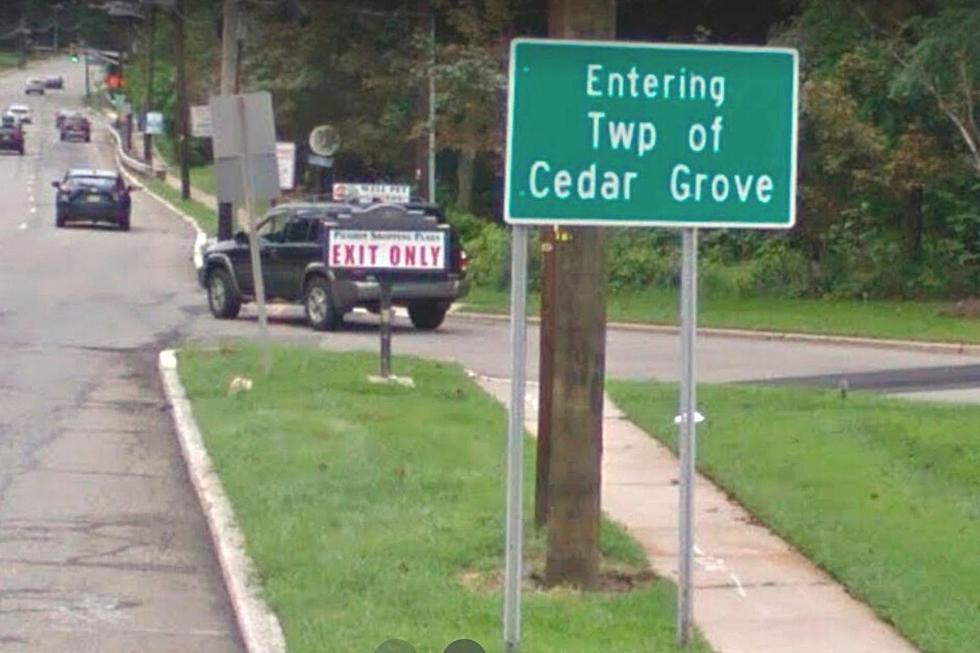 Teens charged with Cedar Grove, NJ carjacking