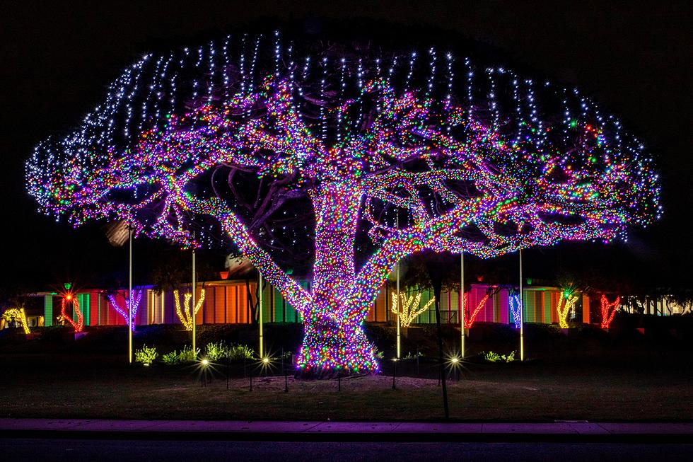 8 dazzling NJ Christmas displays you don’t want to miss this year