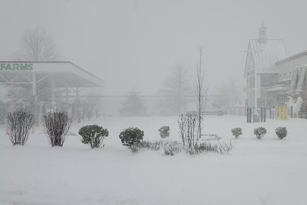Egg Harbor Township (Chris Coleman, Townquare Media)
