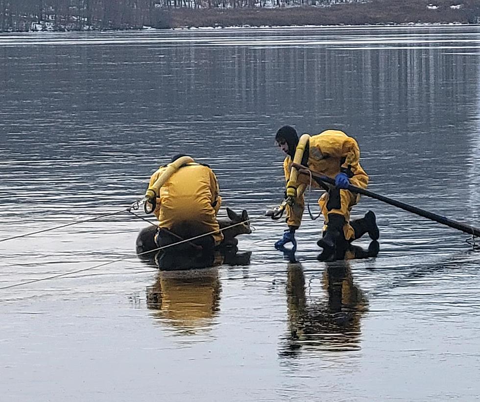 NJ animal rescuers had to rescue deer from ice twice this weekend