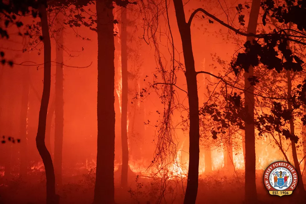 NJ Drought is Ramping Up Forest Fire Danger Statewide