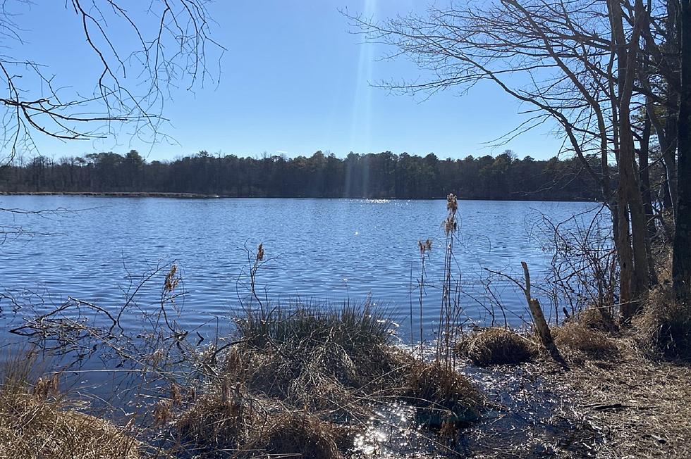 Black Run Preserve: Another great NJ hidden hiking spot