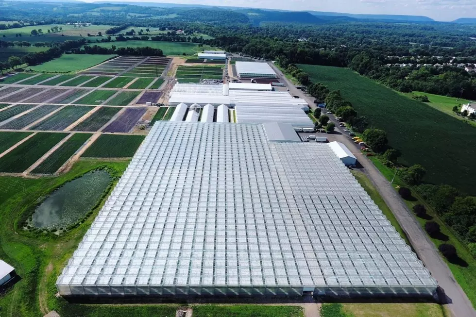 Cannabis was a smooth addition at this Pequannock facility (HillviewMed via Facebook)