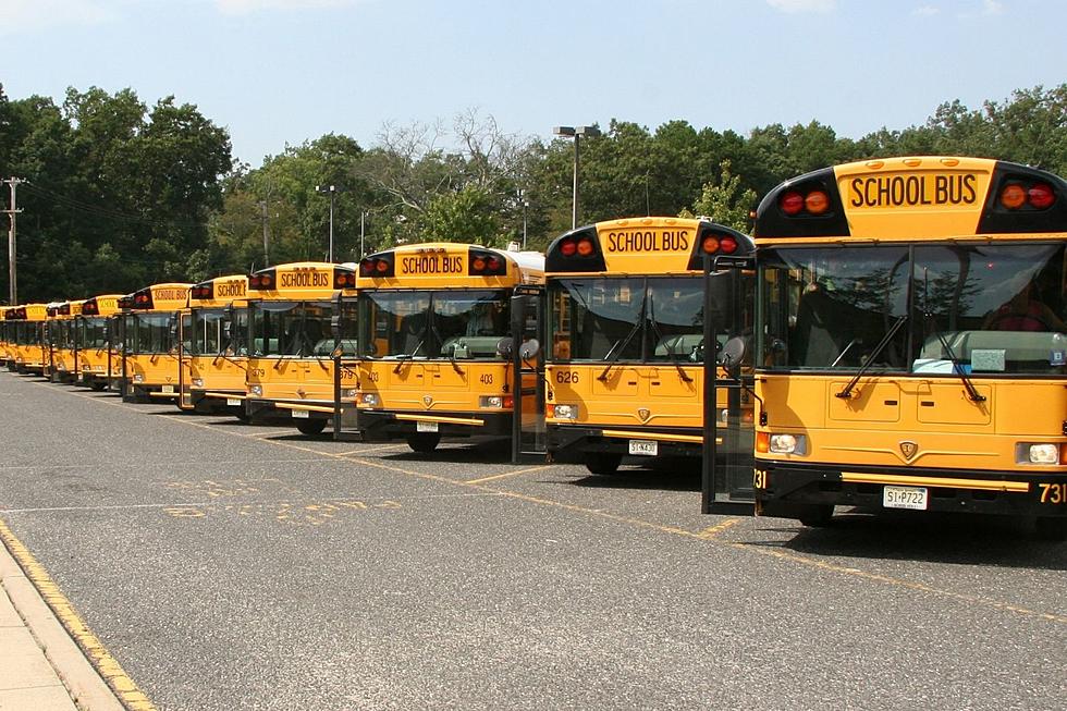 Wanted: School bus drivers in Jackson, NJ. Pays $30 per hour